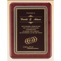 T-P5038  9x12  or 10x13 available in Rosewood or Black Piano Finiah