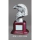 T-AE215. Eagle Head