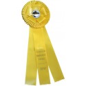 Custom Rosette Ribbons