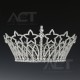 C-AAC169 crown