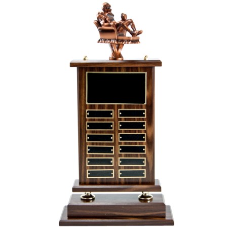 Fantasy Football Master trophy