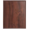 Econo Plaque    4x6 5x7 6x8 7x9 8x10 9x12 10.5x13 12x15
