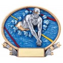 Swimming & Gymnastics